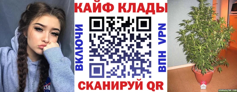 Купить закладку COCAIN  МЕФ  Амфетамин  Марихуана  МЕТАМФЕТАМИН  ГАШИШ  Дно