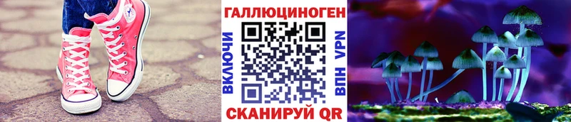 Купить где Дно Галлюциногенные грибы Cubensis